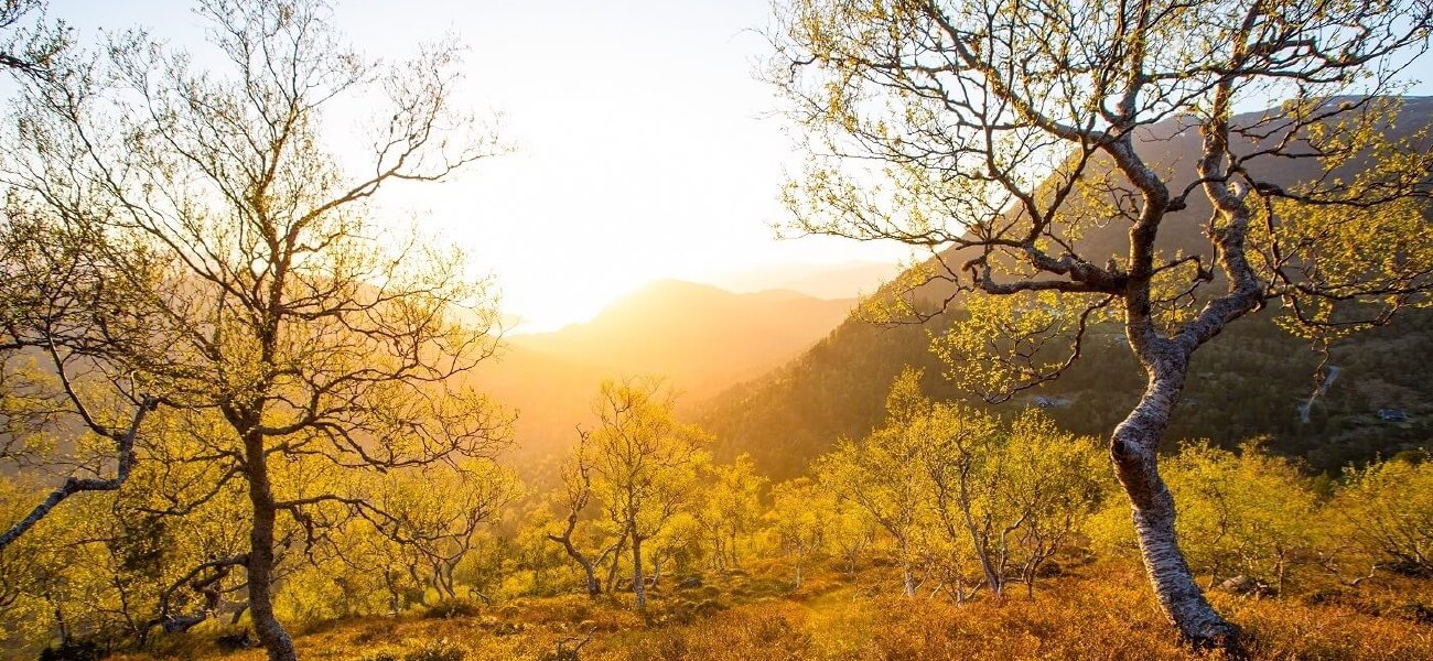 Glitni - vi får dataene dine til å glitre | Bilde av Per Magne Drotninghaug Glitni - vi får dataene dine til å glitre | Bilde av Per Magne Drotninghaug