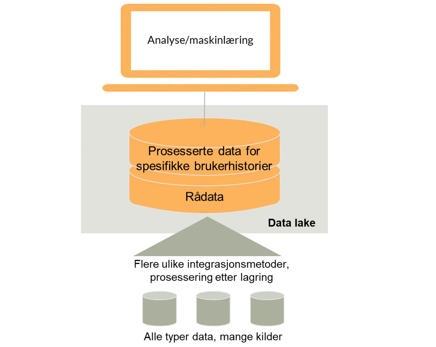 A data lake enables analysis of different types of data