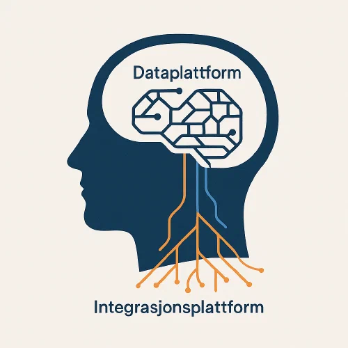 Analogien hjerne vs nervesystem kan brukes for de to plattformene Analogien hjerne vs nervesystem kan brukes for de to plattformene